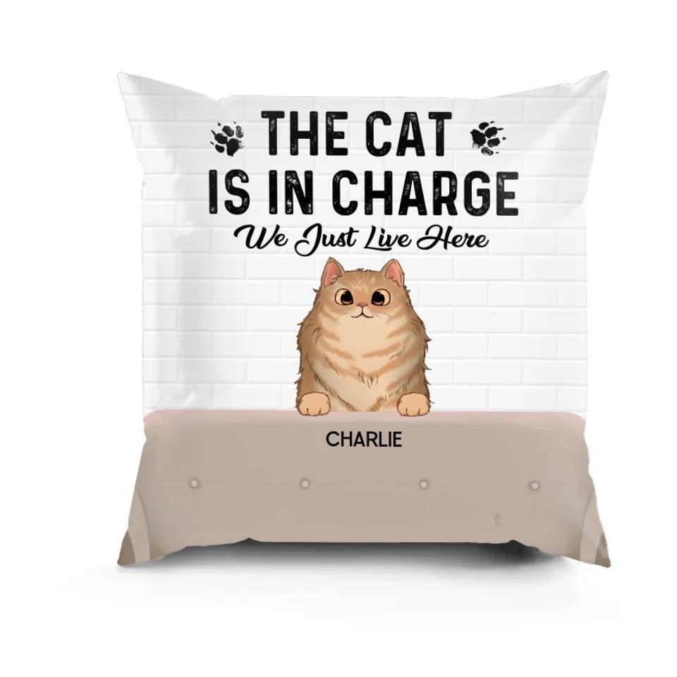 The Cats Are In Charge - Funny Personalized Cat Pillow - Home Decor, Birthday, Housewarming Gift For Pet Lovers, Cat Lovers