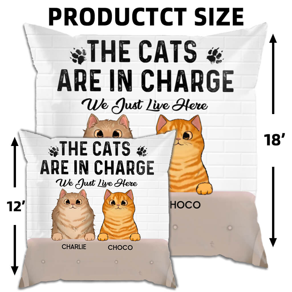 The Cats Are In Charge - Funny Personalized Cat Pillow - Home Decor, Birthday, Housewarming Gift For Pet Lovers, Cat Lovers